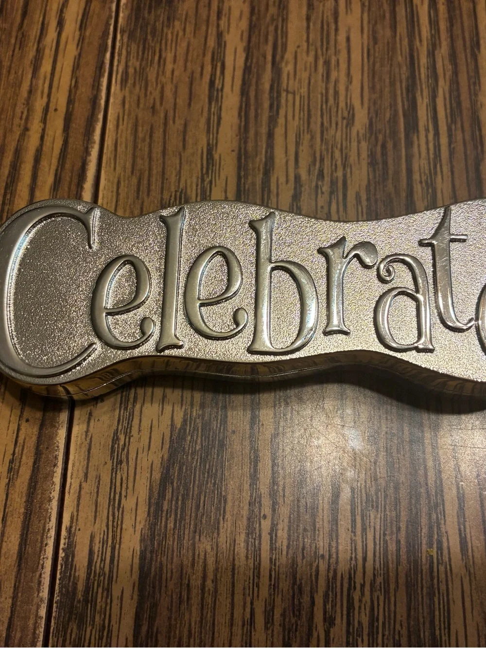 Celebrate Cake Server - Silver Stainless Steel